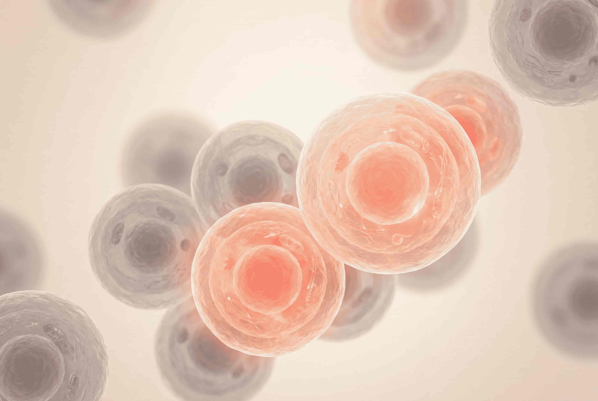 Adipose-derived stem cells with GLP-1 receptors targeted by semaglutide