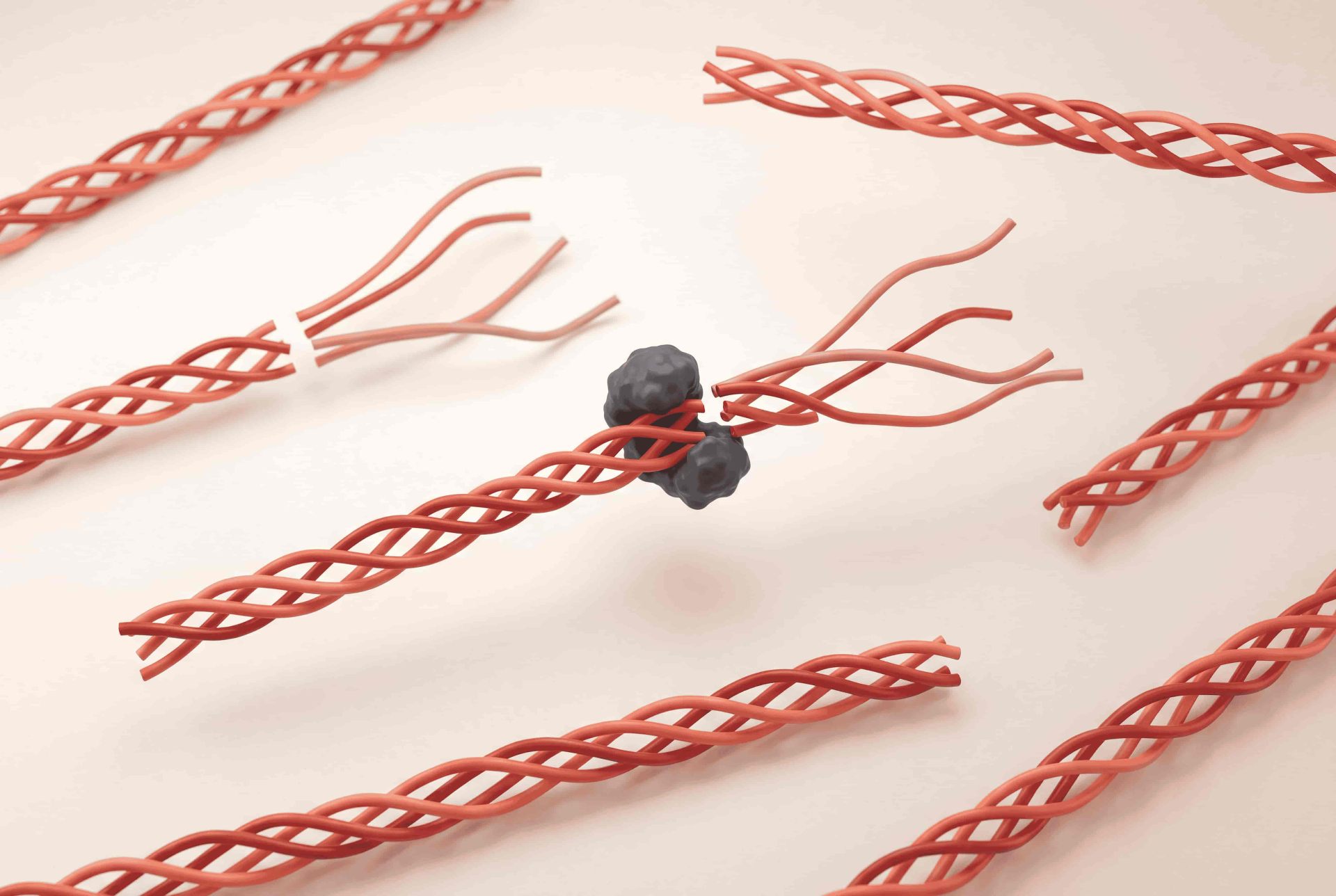 Collagen triple helices being cleaved by MMP-1 enzymes in the dermis